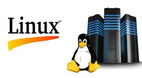 Linux Hosting Services